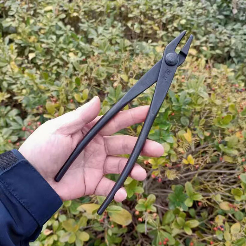 Thick Branch Shears 200MM Bons - Gardening Tools Drawing 评论和价格