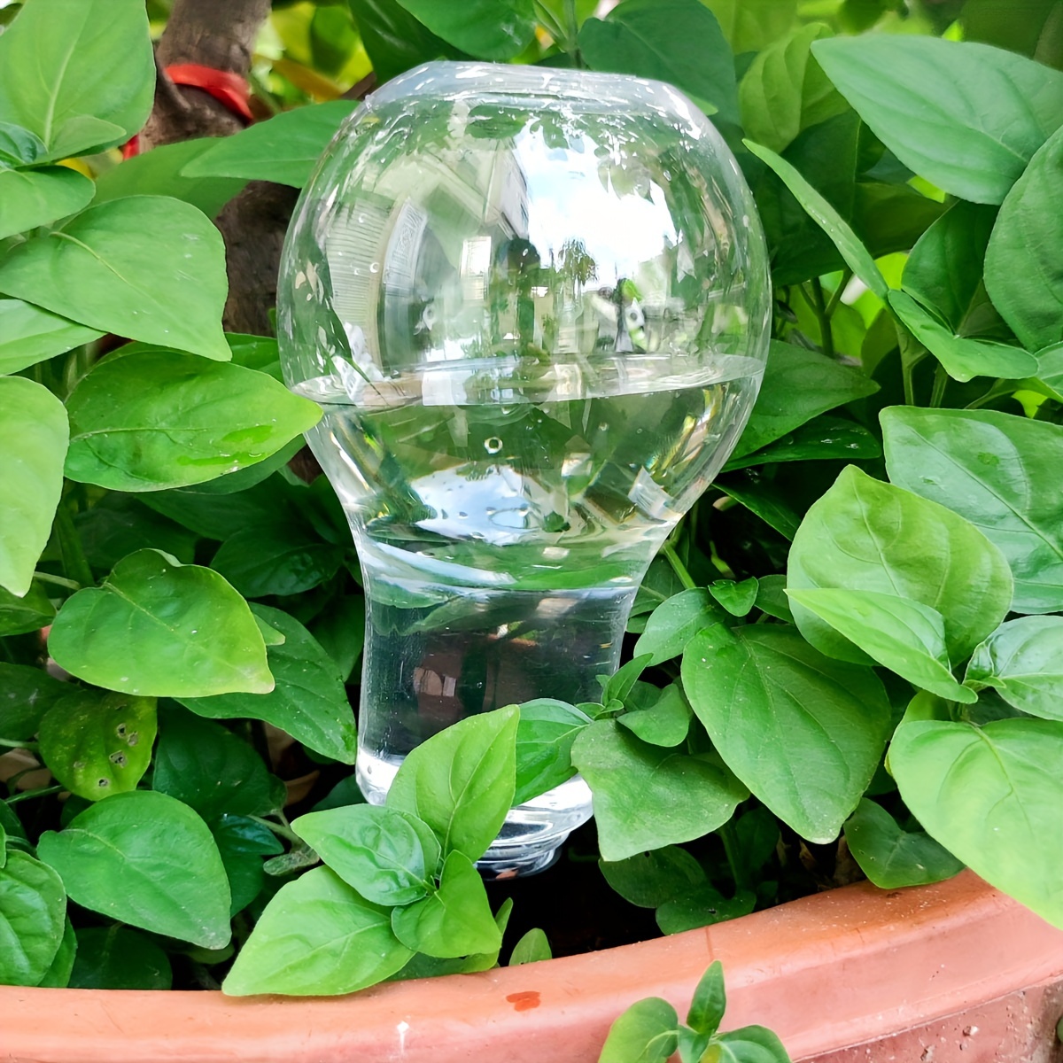 Garden Automatic Watering Tool - Gardening Tools And Accessories 评论和价格