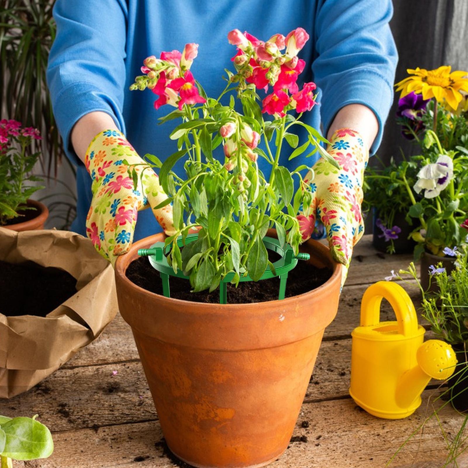Plant Water Ring Plant Hydro R - Gardening Tools Target 评论和价格