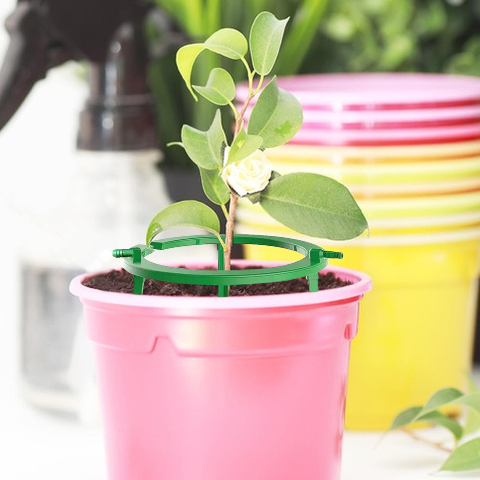 Plant Water Ring Plant Hydro R - Gardening Tools Target 评论和价格