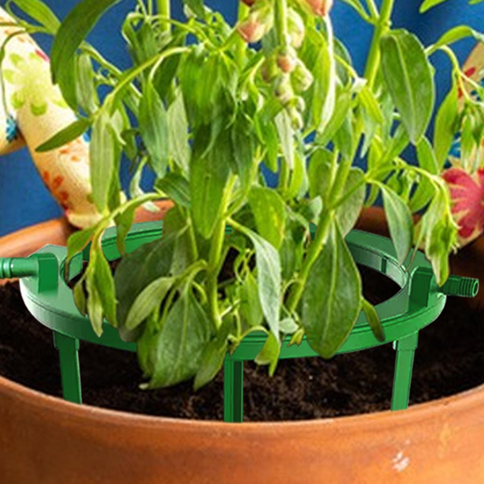 Plant Water Ring Plant Hydro R - Gardening Tools Target 评论和价格