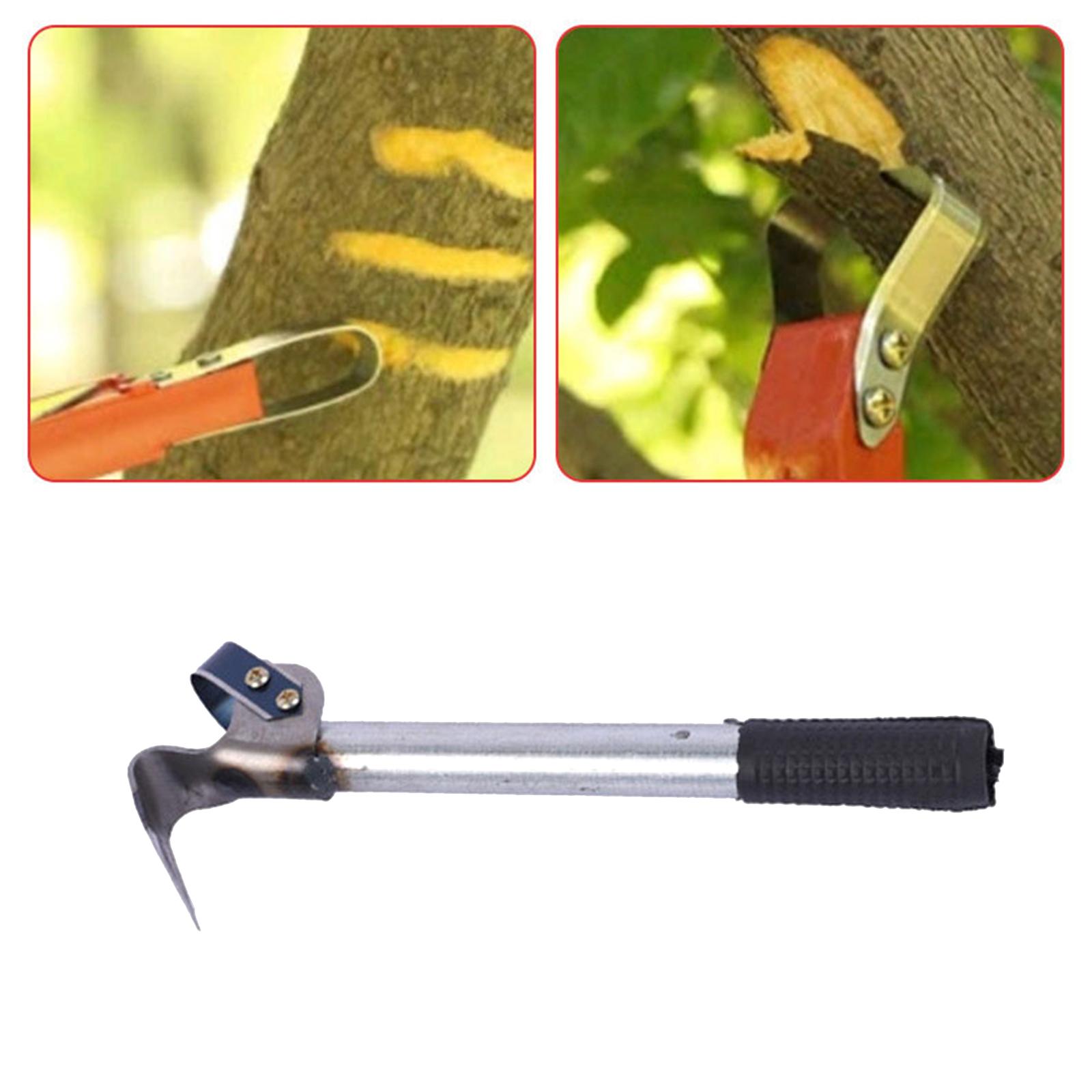 Barks Removal Tool Barks Compa - Gardening Tools Drawing 评论和价格