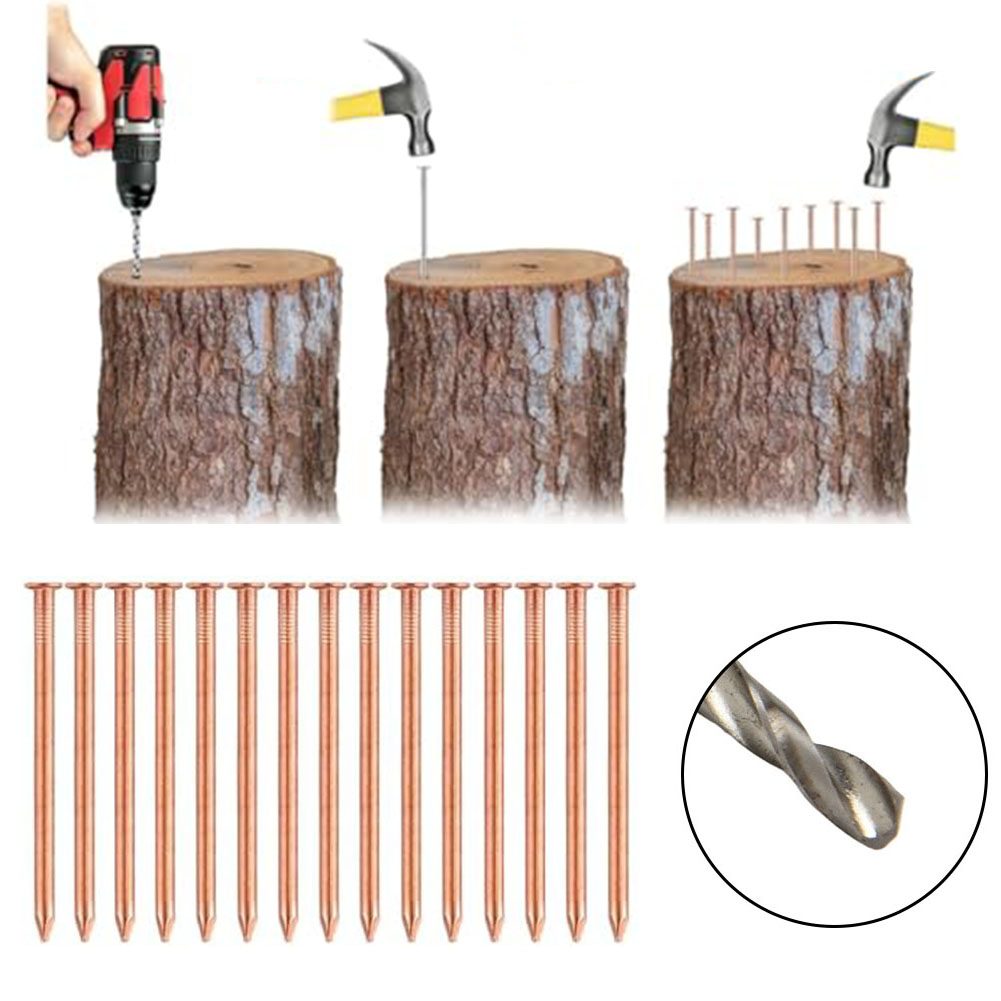 2-Inch Solid Copper Nails For  - Gardening Tools Target 评论和价格