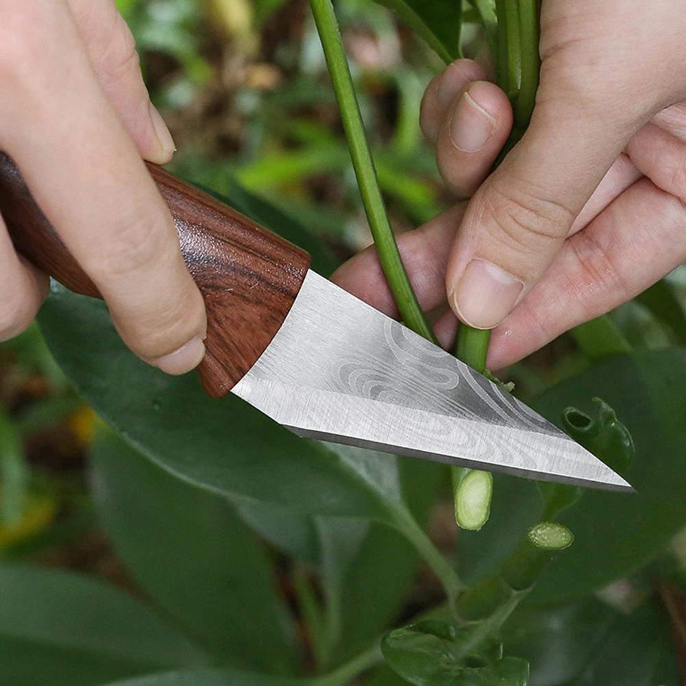 Grafting Knife Grafting Tools  - Harvest Knife Garden 评论和价格