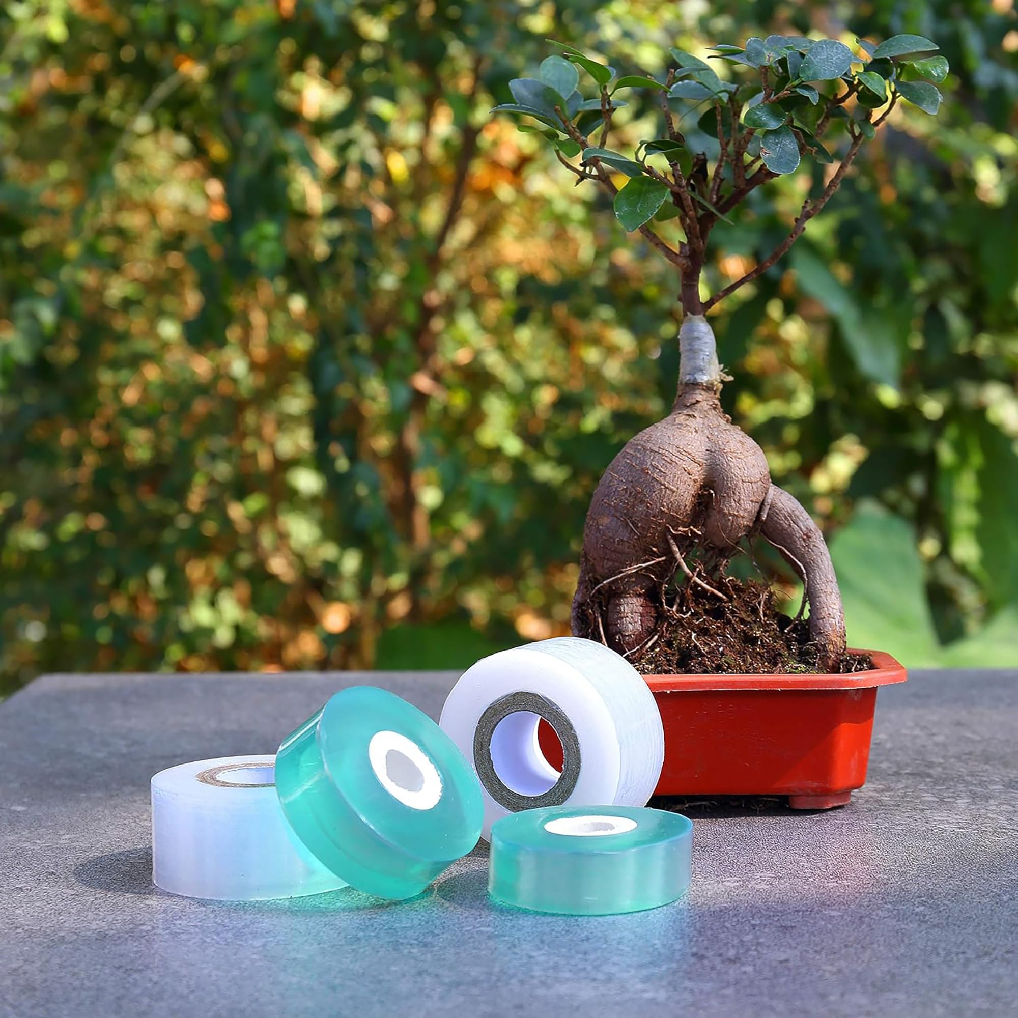 Easy Use Biodegradable Self Ad - Gardening Tools And Uses 评论和价格
