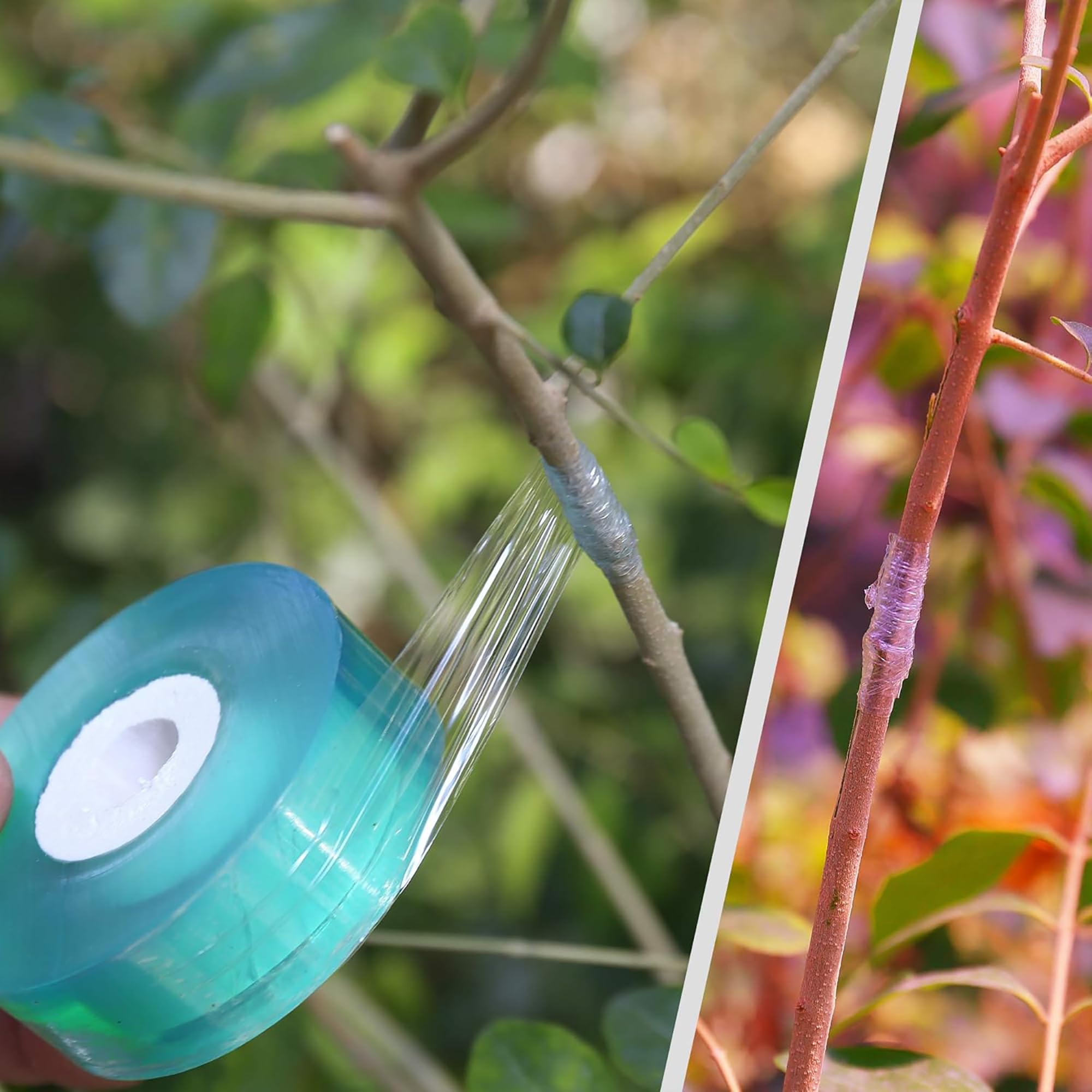 Easy Use Biodegradable Self Ad - Gardening Tools And Uses 评论和价格