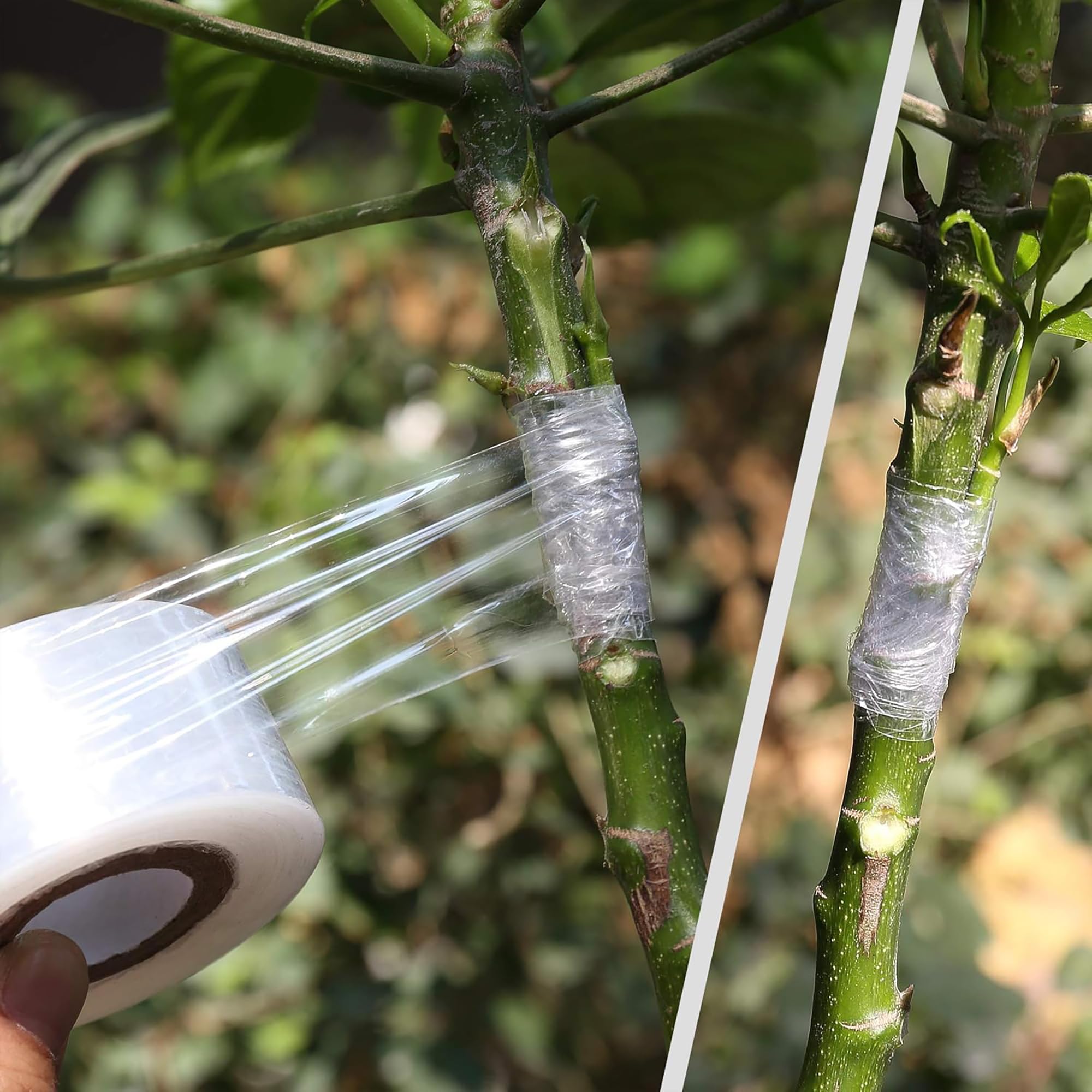 Easy Use Biodegradable Self Ad - Gardening Tools And Uses 评论和价格