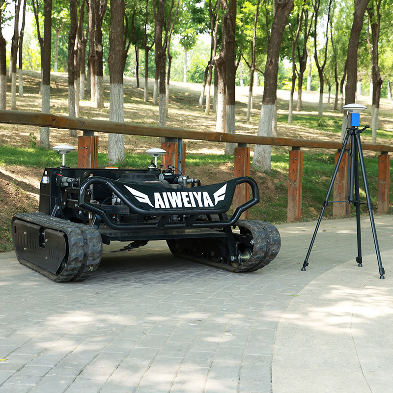 Customized RC Lawn Mower with  - Gardening Tools For Elderly 评论和价格