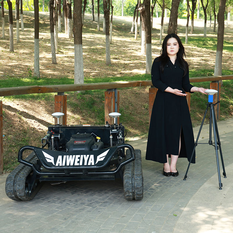 Customized RC Lawn Mower with  - Gardening Tools For Elderly 评论和价格