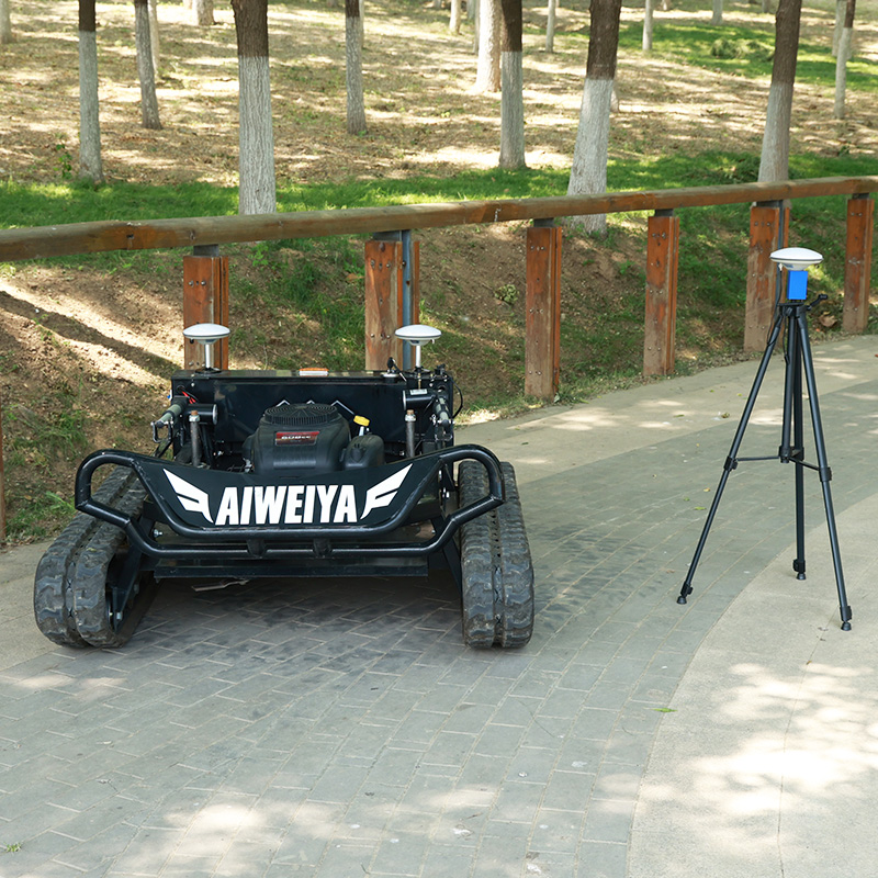 Customized RC Lawn Mower with  - Gardening Tools For Elderly 评论和价格