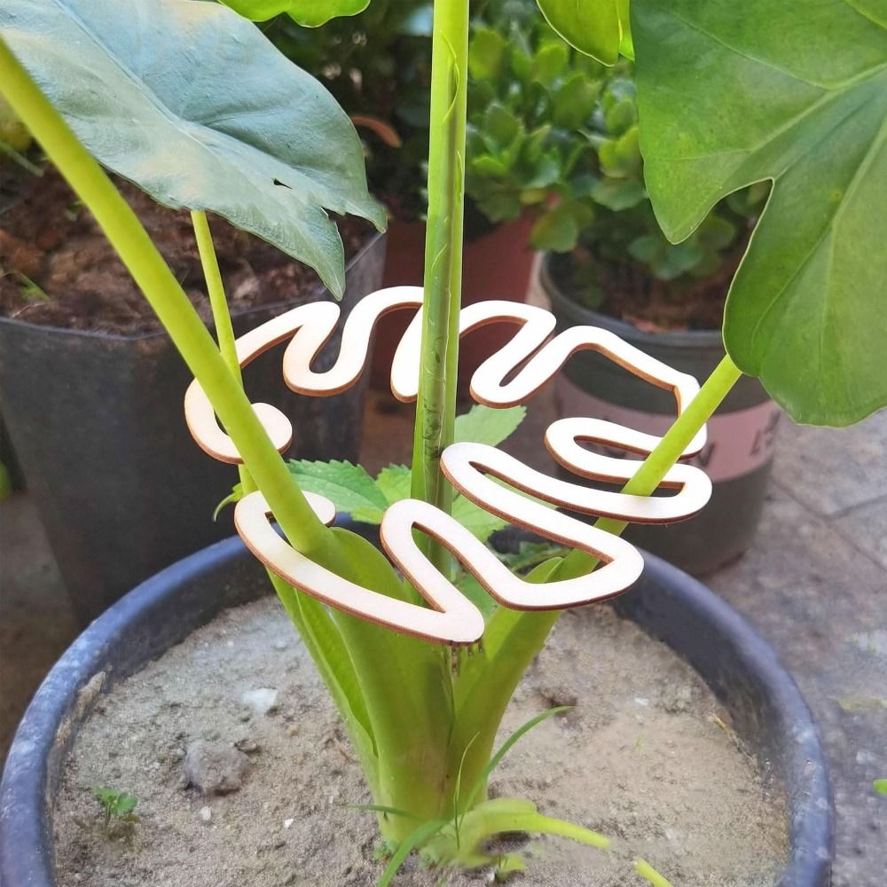 1/2PCS Reusable Turtle Shell B - Gardening Tools Hoe 评论和价格