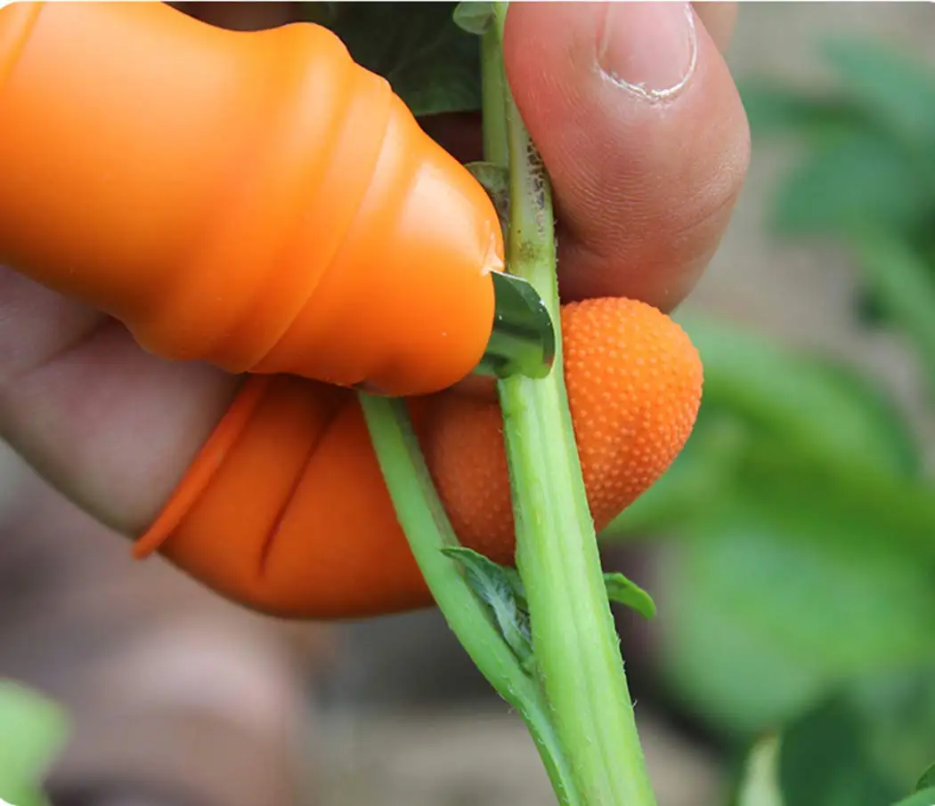 Gardening Silicone Thumb Knife - Harvest Knife Garden 评论和价格