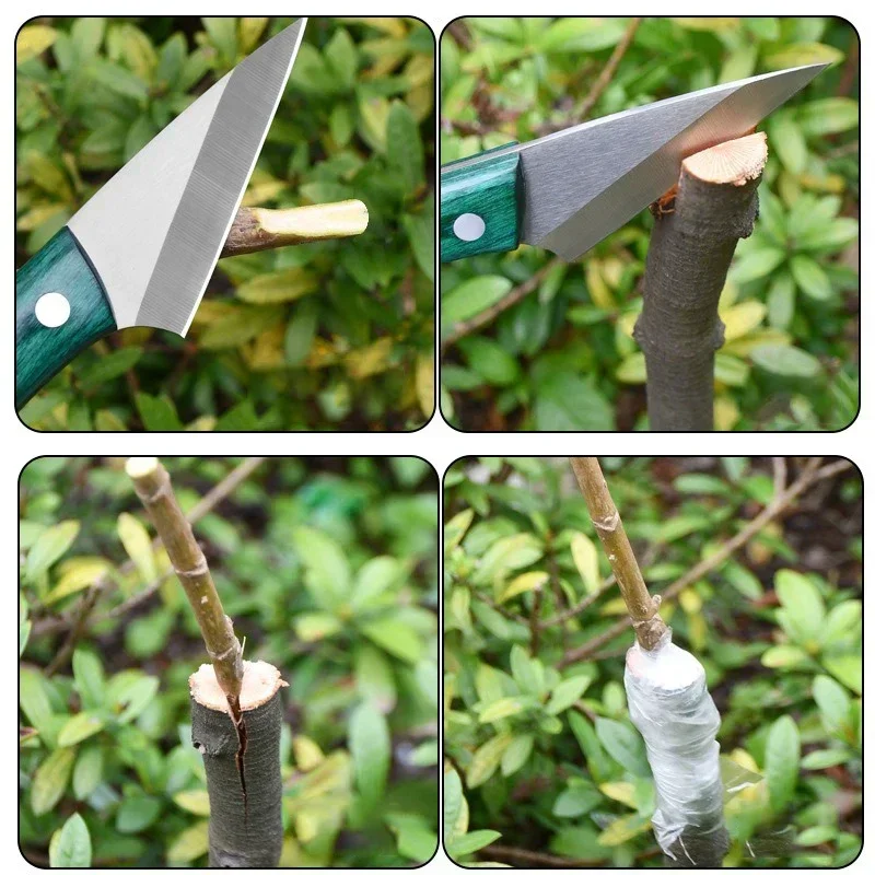 Stainless Steel Grafting Knife - Harvest Knife Garden 评论和价格