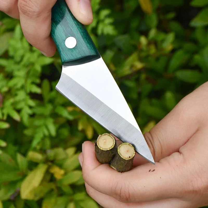 Stainless Steel Grafting Knife - Harvest Knife Garden 评论和价格