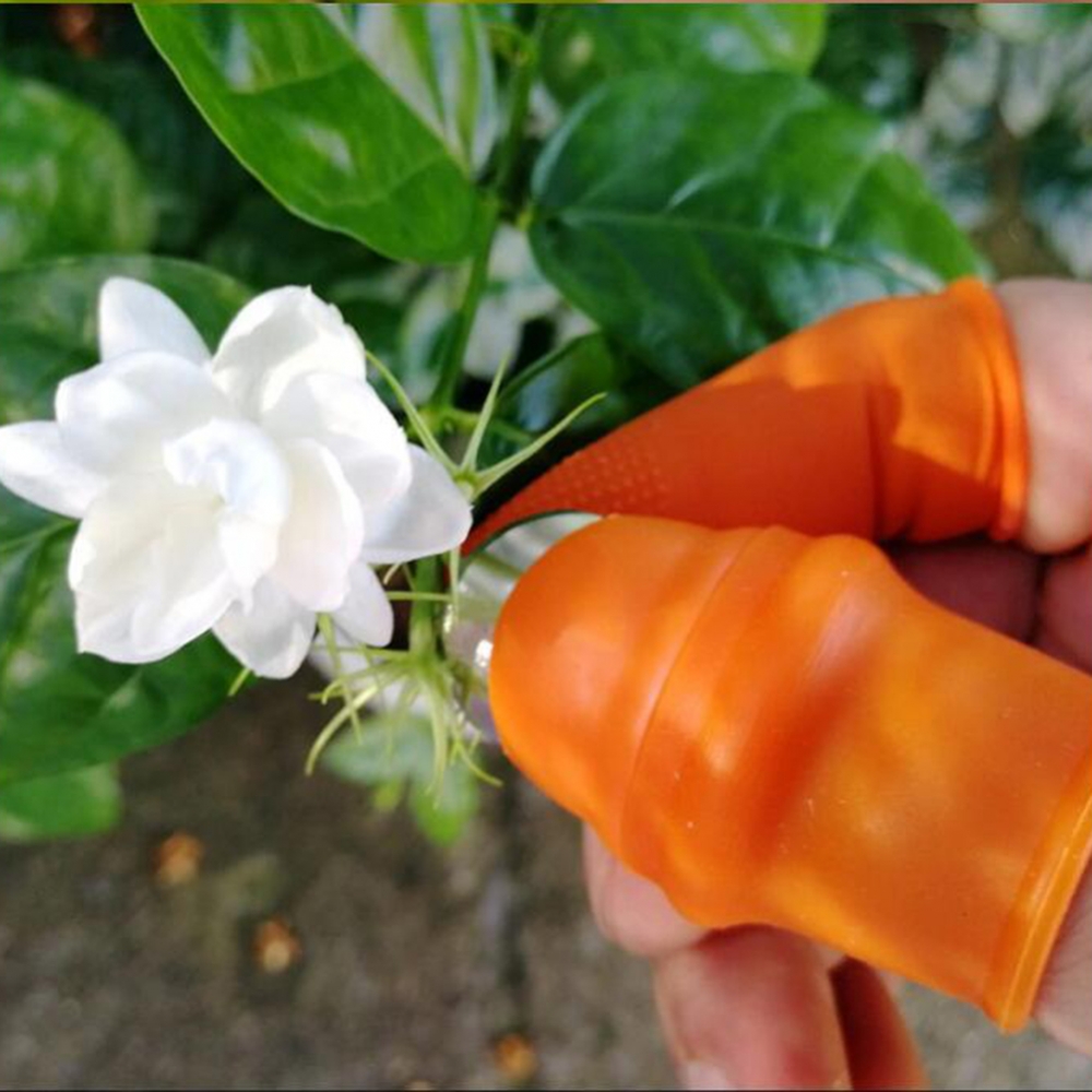 Garden Silicone Thumb Knife Wi - Harvest Knife Garden 评论和价格