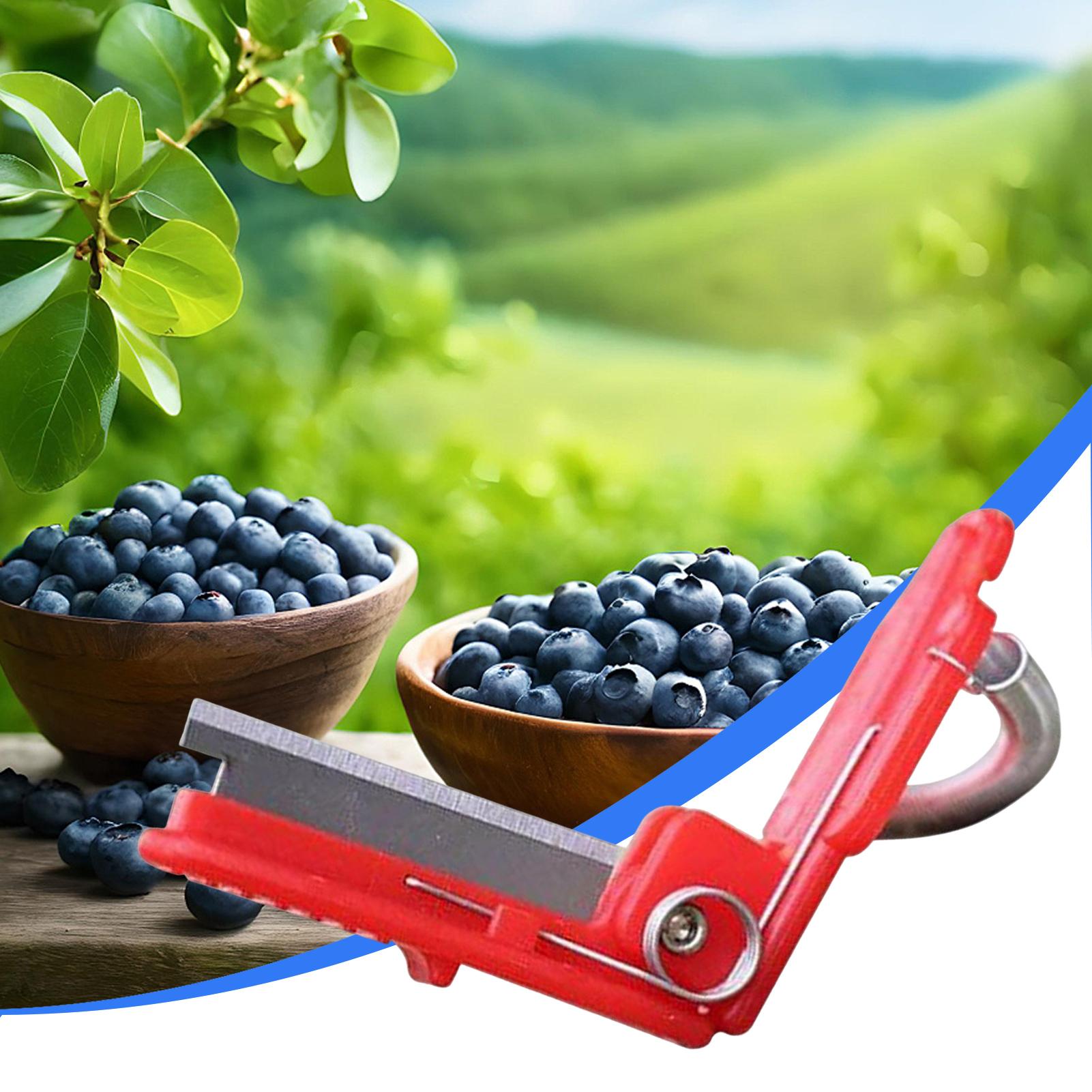 Multifunction Thumb Knife Gard - Harvest Knife Garden 评论和价格
