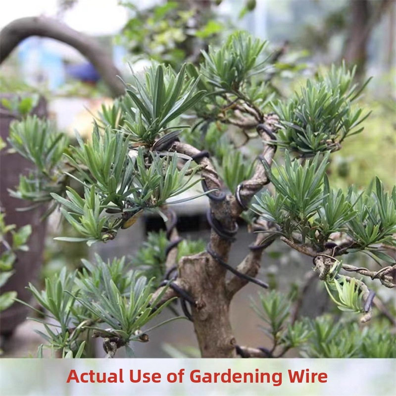 1.5MM Bonsai Wires Aluminum Bo - Gardening Tools And Uses 评论和价格