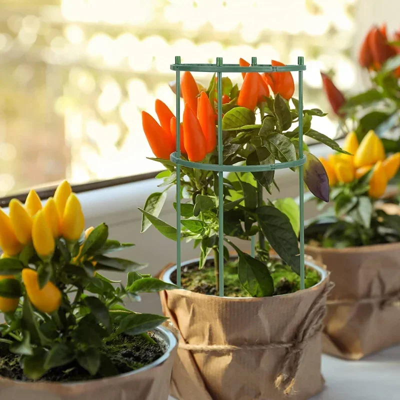 Plastic Plant Support Pile Sta - Gardening Tools Hoe 评论和价格