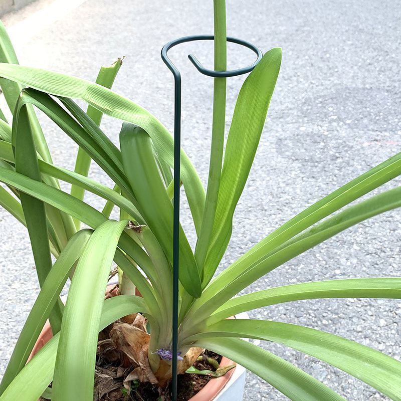 1-10pcs Metal Single Stem Plan - Gardening Tools Hoe 评论和价格