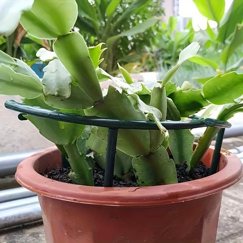 30-1PCS Plastic Plant Support  - Gardening Tools Hoe 评论和价格