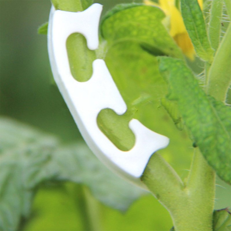50/100pcs Botany-stem Vine Str - Gardening Tools Hoe 评论和价格