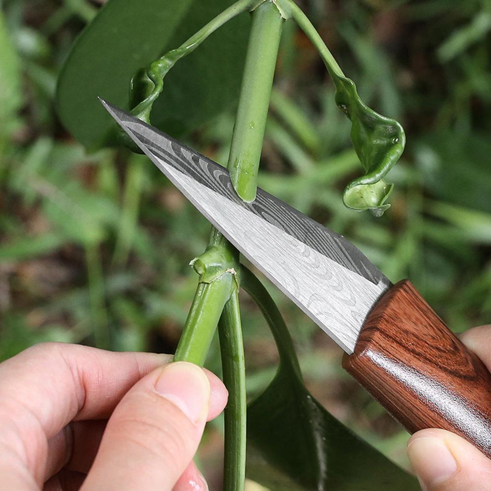 Sharp Grafting Knife with Wood - Harvest Knife Garden 评论和价格