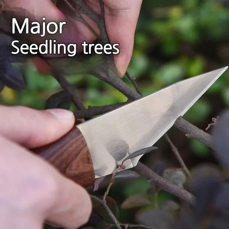 Wooden Handle Grafting Knife w - Harvest Knife Garden 评论和价格