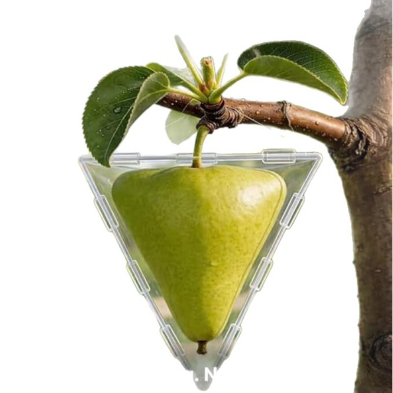 Unique Fruit Shaping Growth Mo - Gardening Tools Unique 评论和价格