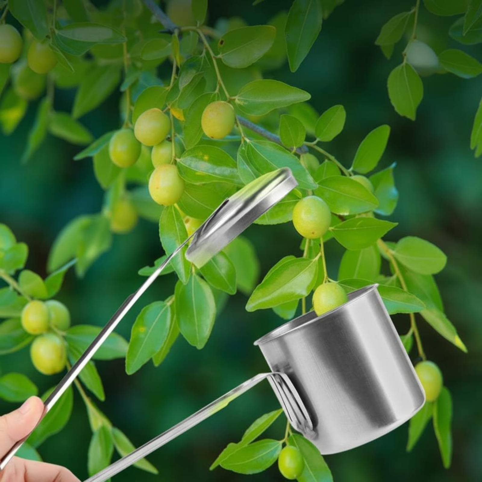 Cup Fruit Picker Stainless Ste - Gardening Tools And Uses 评论和价格