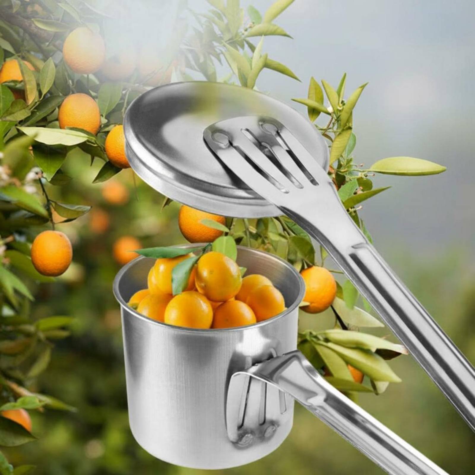 Cup Fruit Picker Stainless Ste - Gardening Tools And Uses 评论和价格