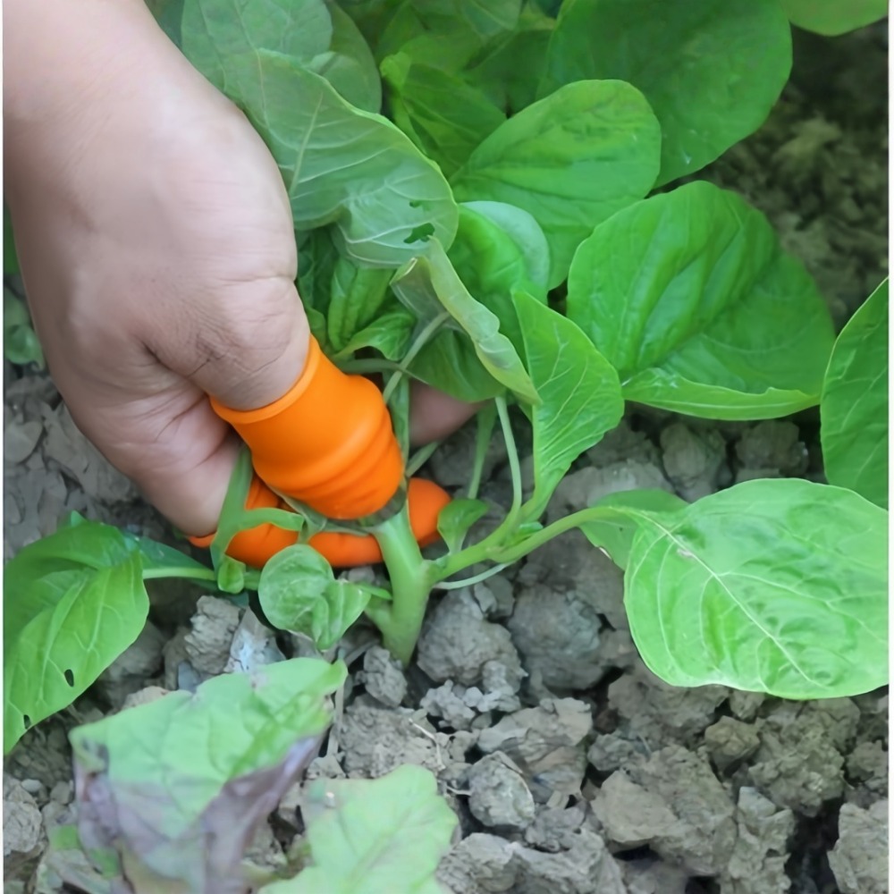 Vegetable Picking Stainless St - Harvest Knife Garden 评论和价格