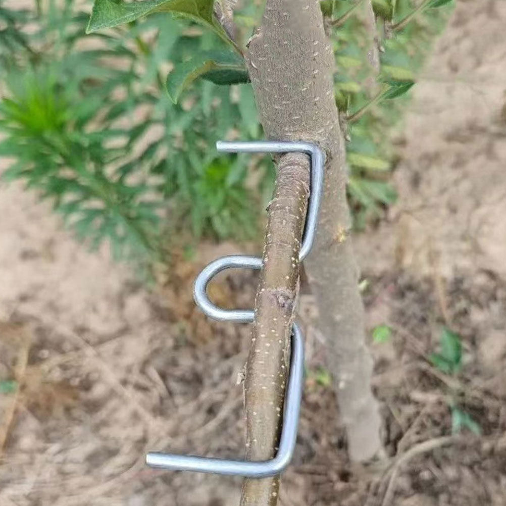 20Pcs Fruit Tree Branch Puller - Gardening Tools And Uses 评论和价格