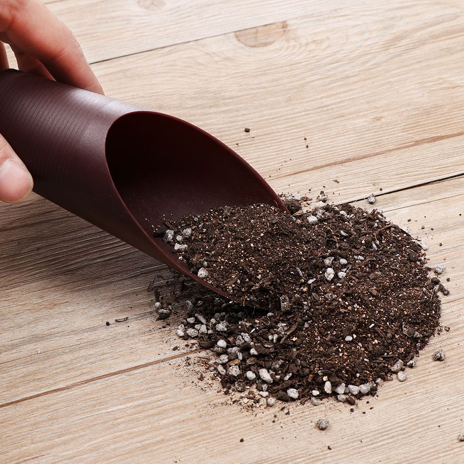 1PC Plastic Soil Shovel Cup Fo - Gardening Tools Hoe 评论和价格